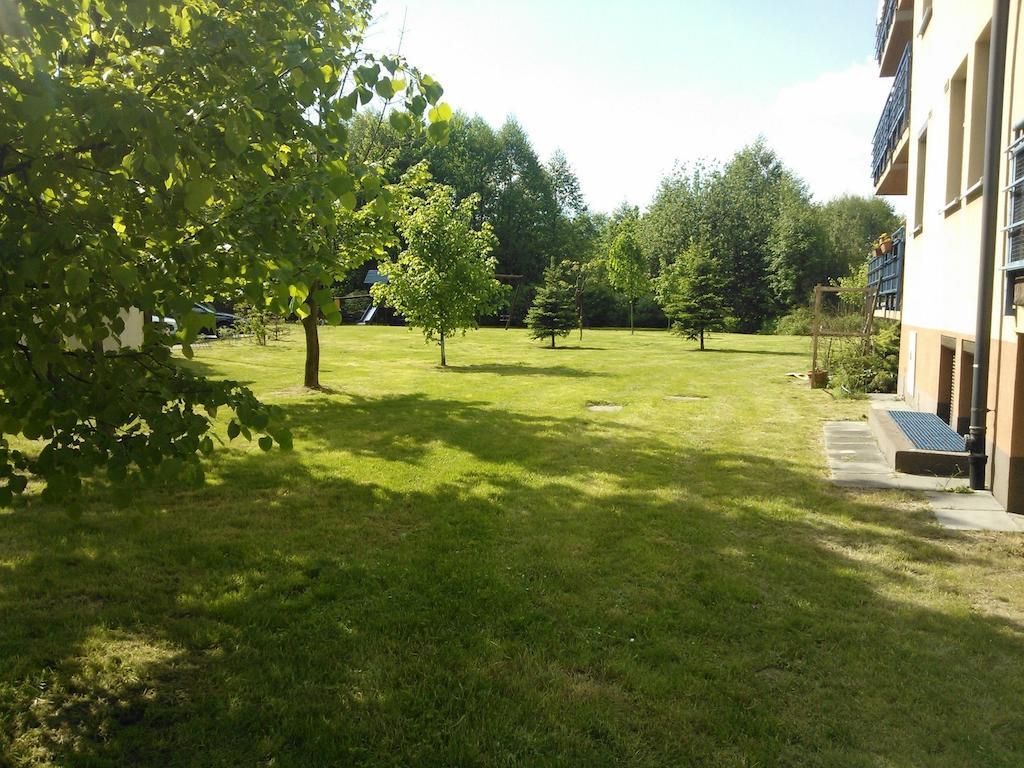 Nature * Krakow