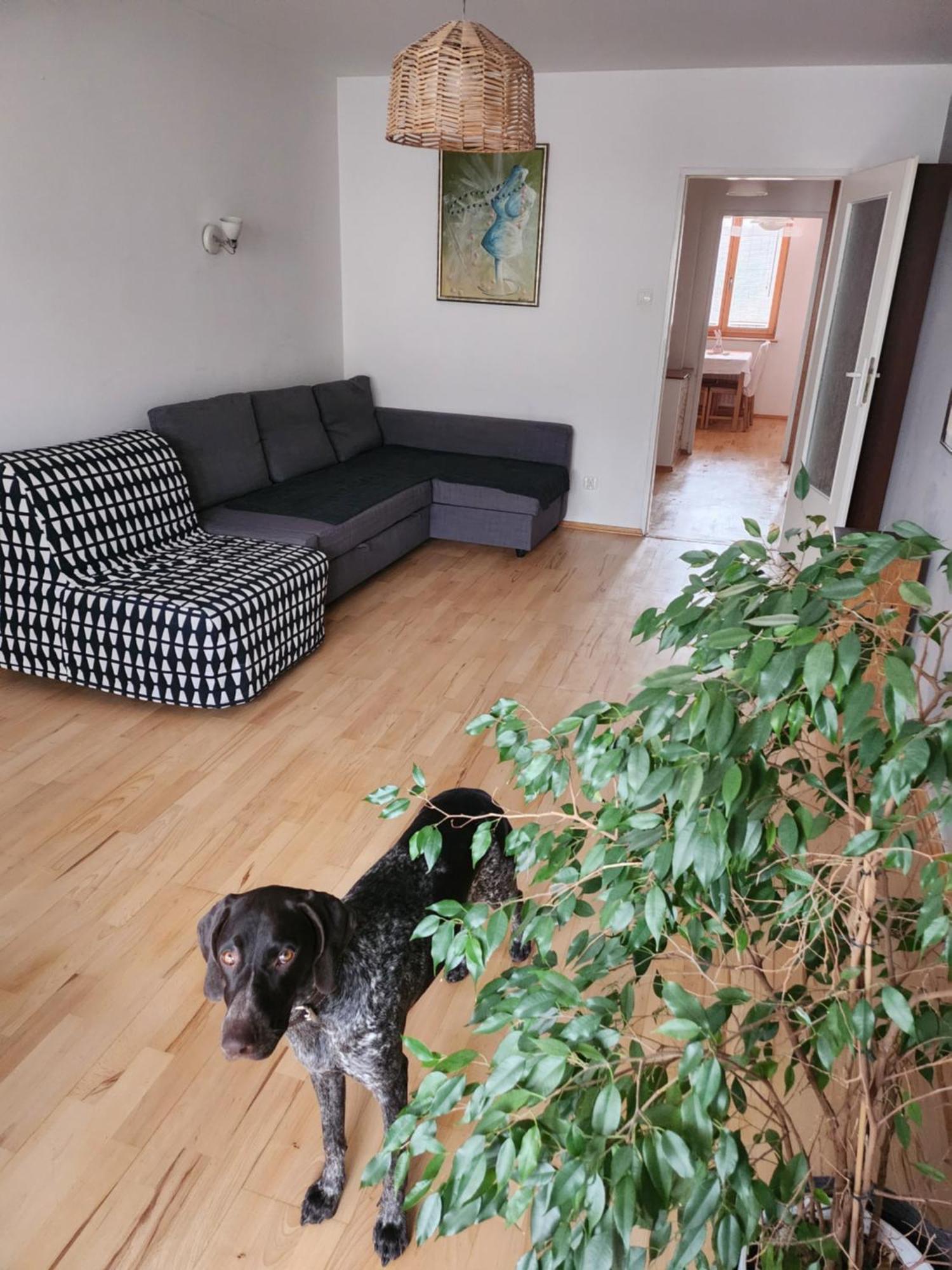 Apartment Nature