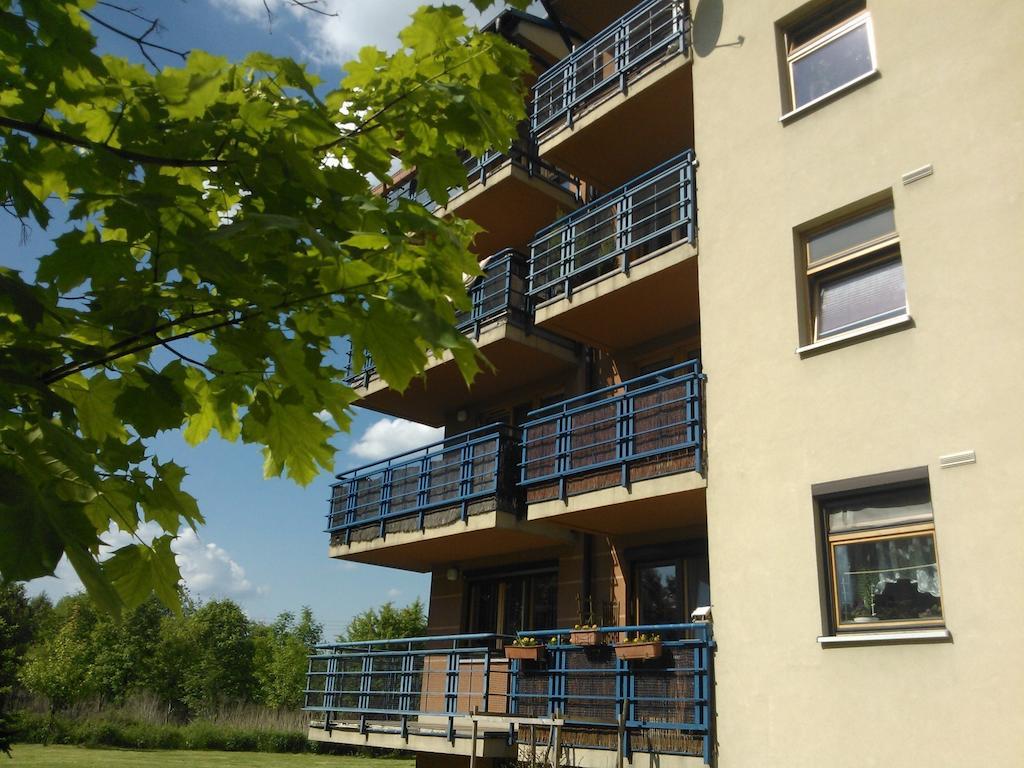 Nature Apartment